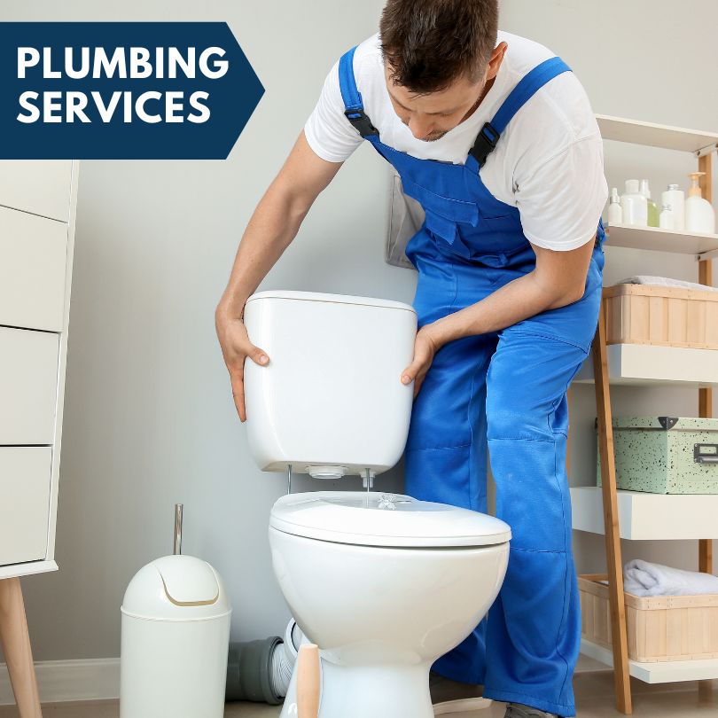 Plumbing Company in La Fayette, IL